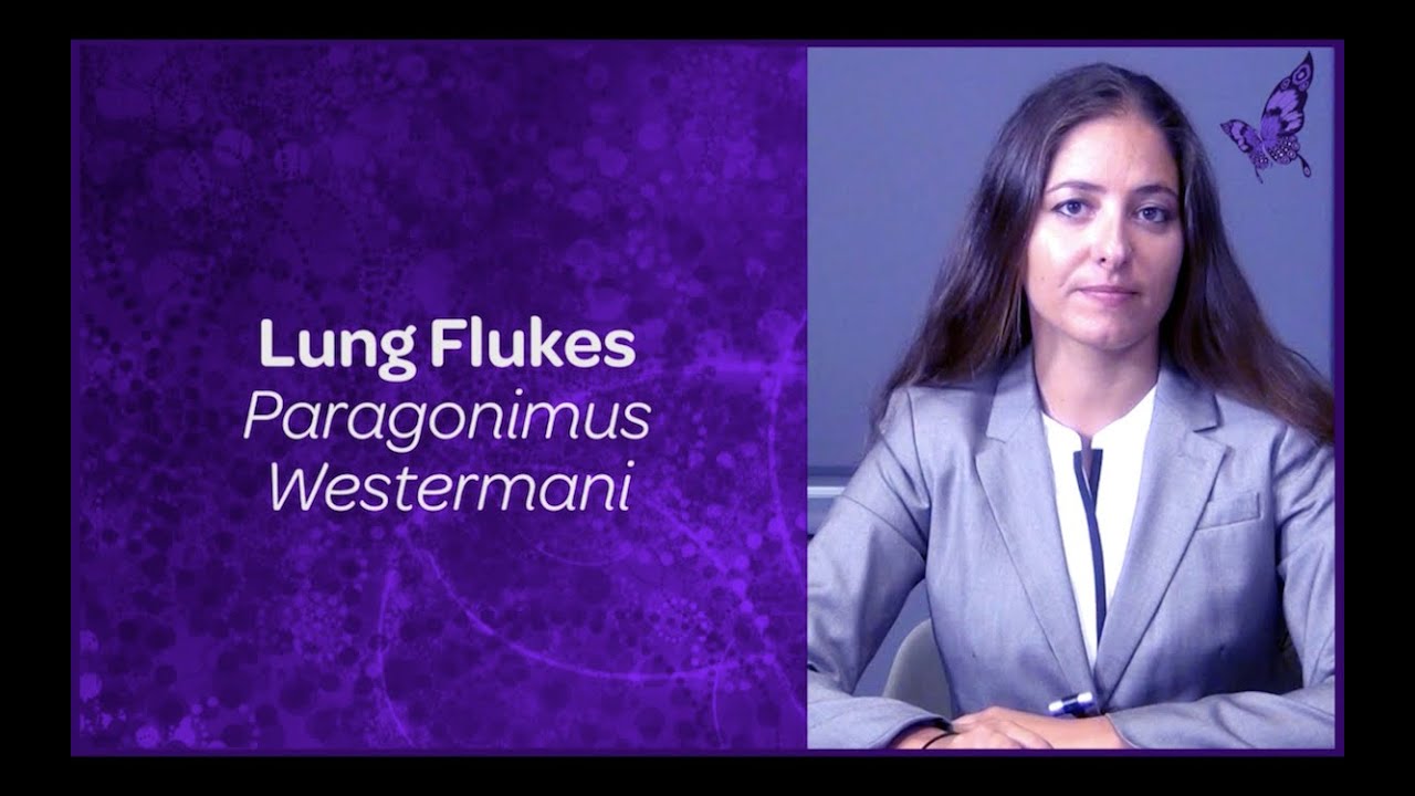 Lung Flukes