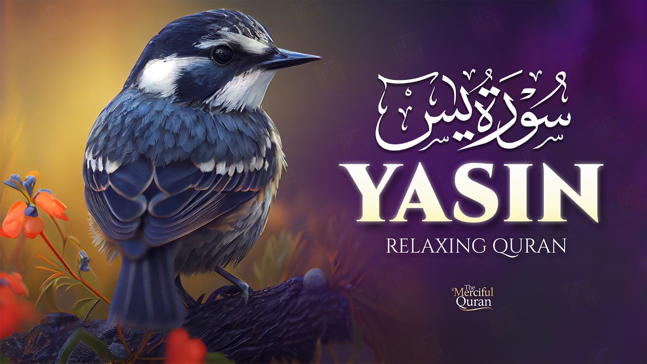 Surah Yasin (Yaseen) سورة يس | Calm & Majestic Quran Recitation for Inner Peace #surahyasin