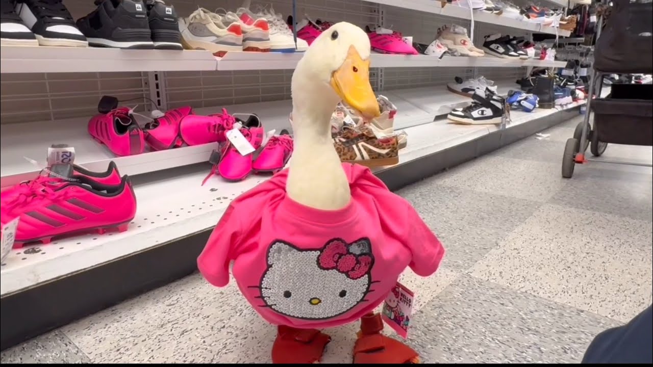 I took my duck shopping for outfits
