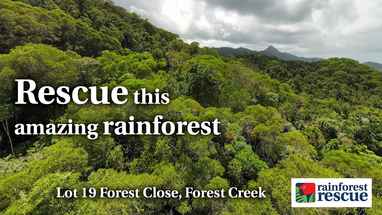 Lot 19, Forest Close, Forest Creek. What is the cost for the protection of priceless wildlife?