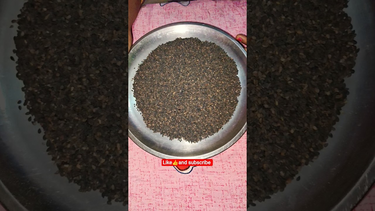 काले तिल को साफ कैसे करें l how to clean sheesham #shortsvideo #Kaletil #Kaletilkiladdu #laddu