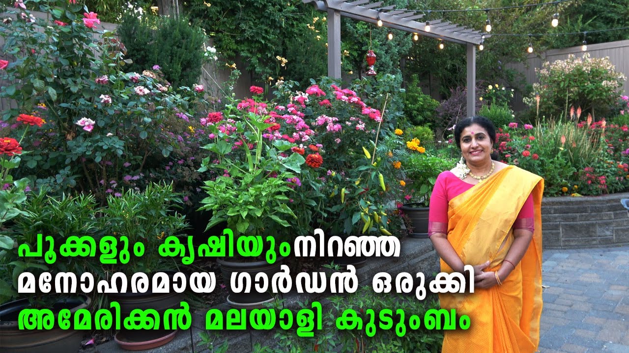 പൂക്കളും കൃഷിയും -മനോഹരമായ ഗാർഡൻ ഒരുക്കി അമേരിക്കൻ മലയാളി കുടുംബം Linny's Beautiful Home garden USA