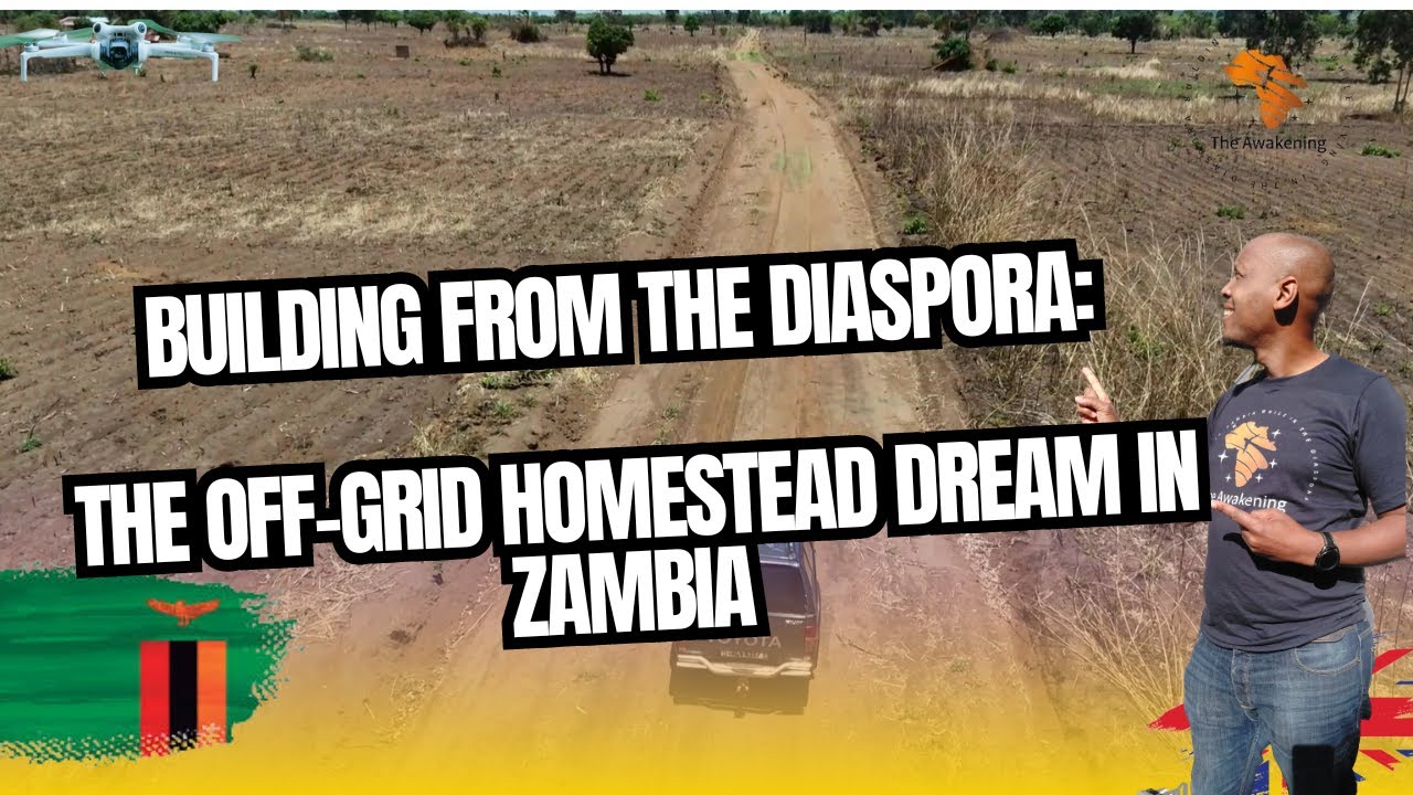 S 2 Ep 37 | Building from the Diaspora | The Off-Grid Homestead Dream in Zambia #offgridhomestead