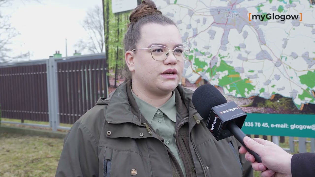 Wiosna zagląda do parków i lasów. Jakie są pierwsze sygnały?
