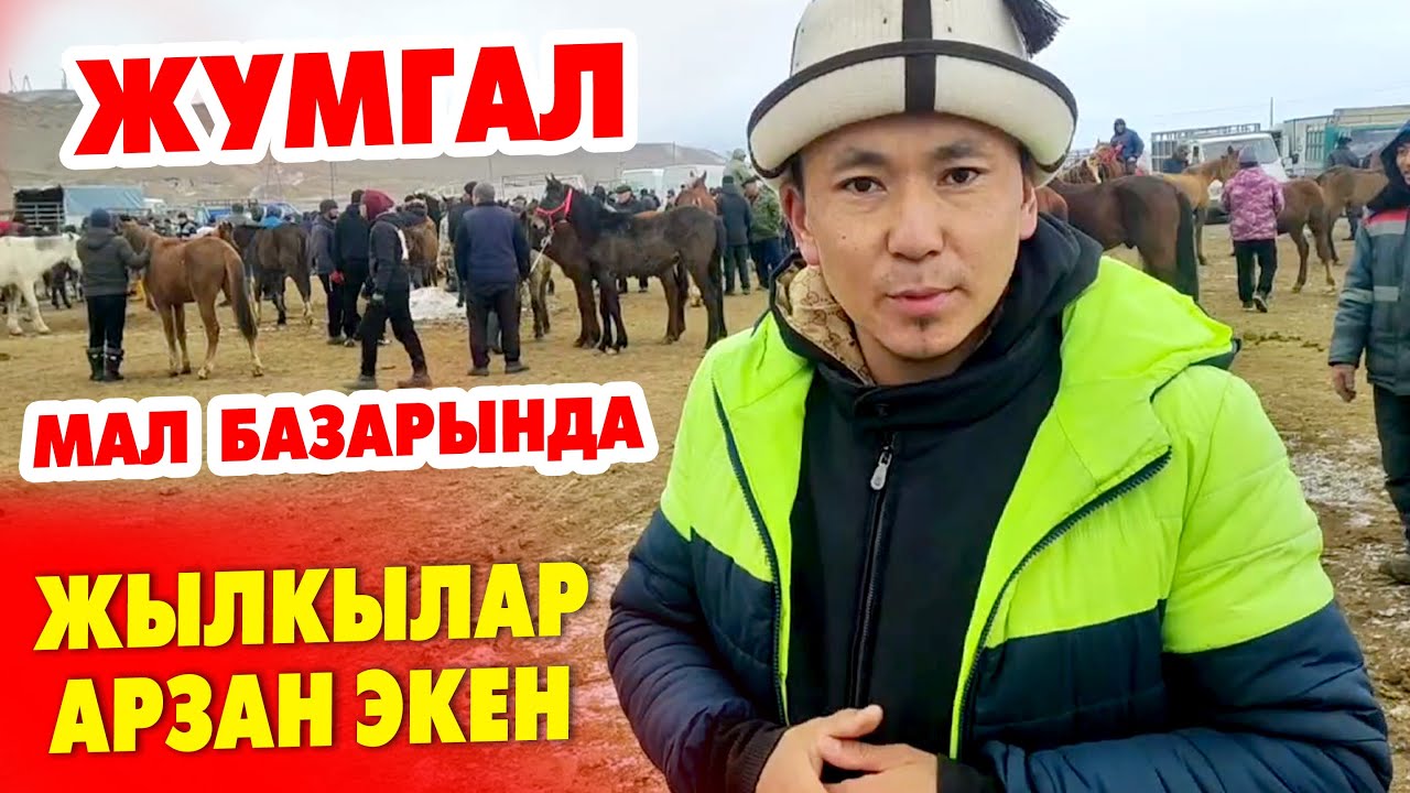 Жумгал МАЛ БАЗАРЫНДА жылкылардын БААЛАРЫН билип чыктык ~ Биз менен БААРЫ кызыутуу