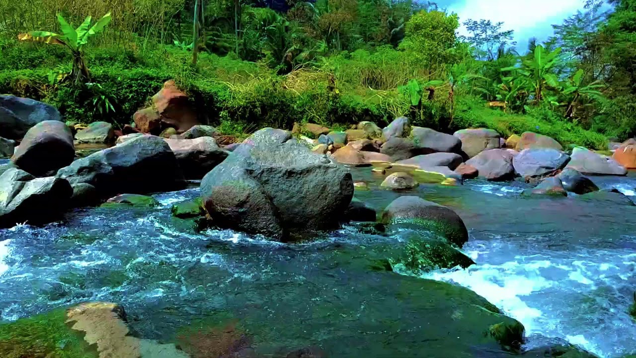 Relaxing Hidden Forest Ambience with Flowing River for Rest, Medicine Therapy, and Deep Sleep