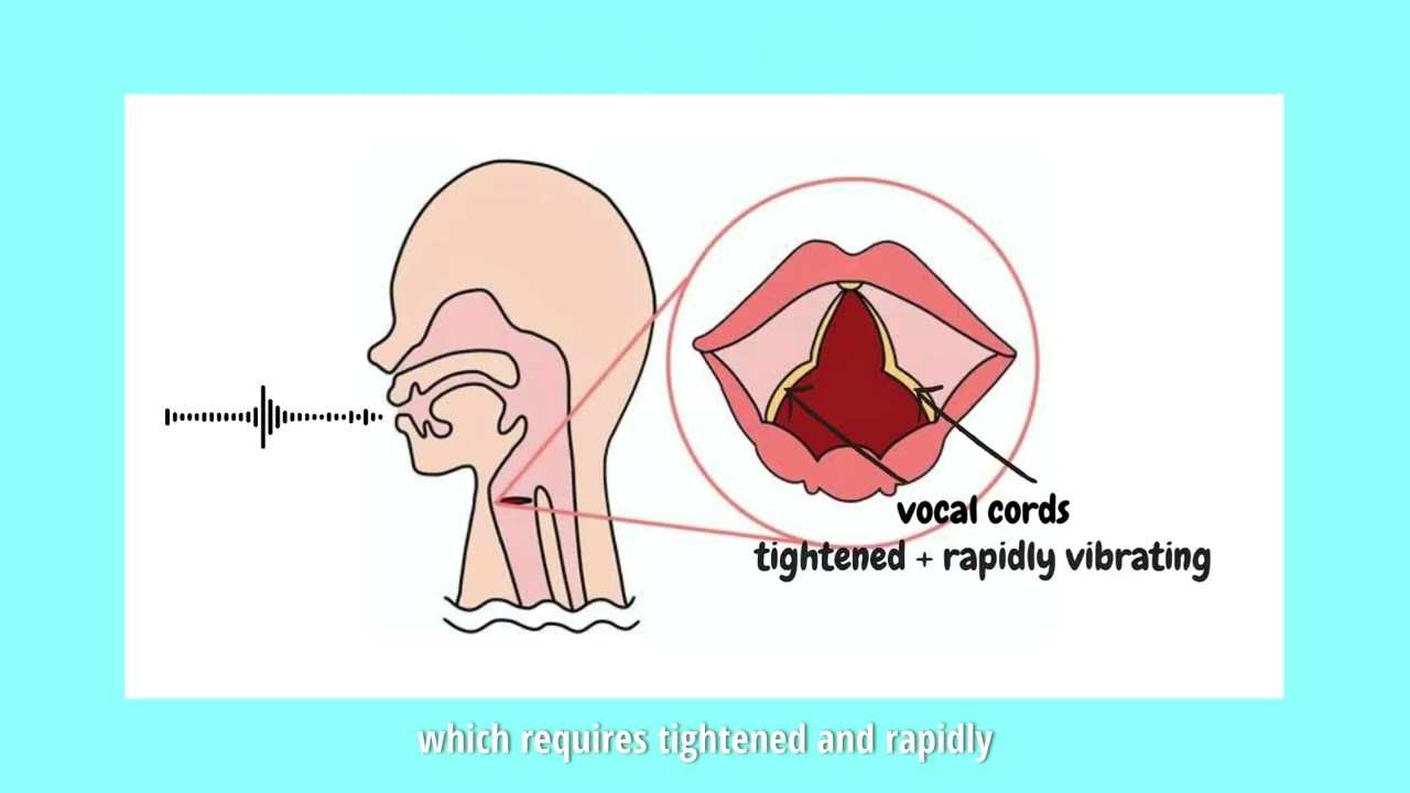 Speech Analysis at the DSEC Lab: Understanding Pitch and Spectrograms