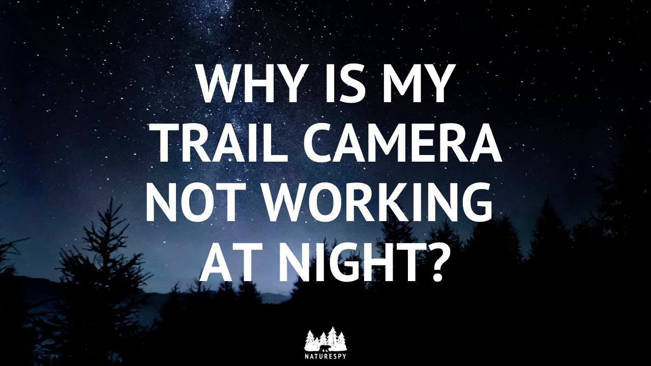 Why is my camera trap not working at night?