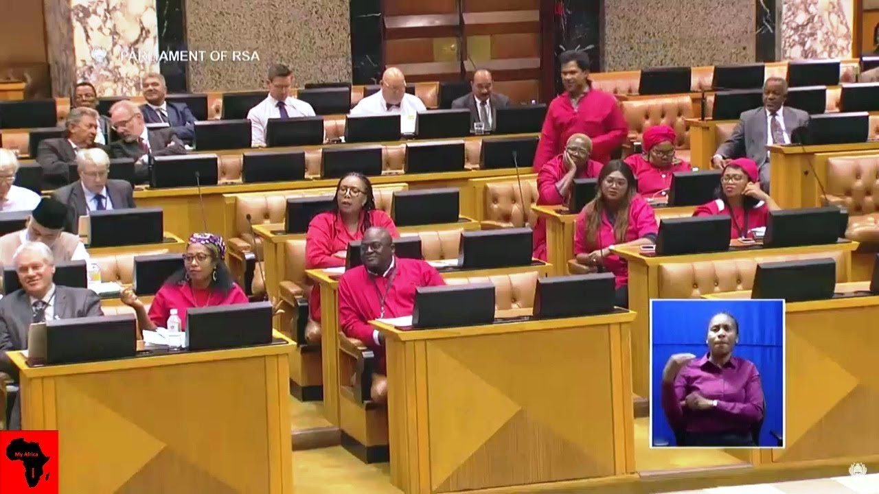 DRAMA: EFF vs Pravin Gordhan - DD Mabuza Must Help?
