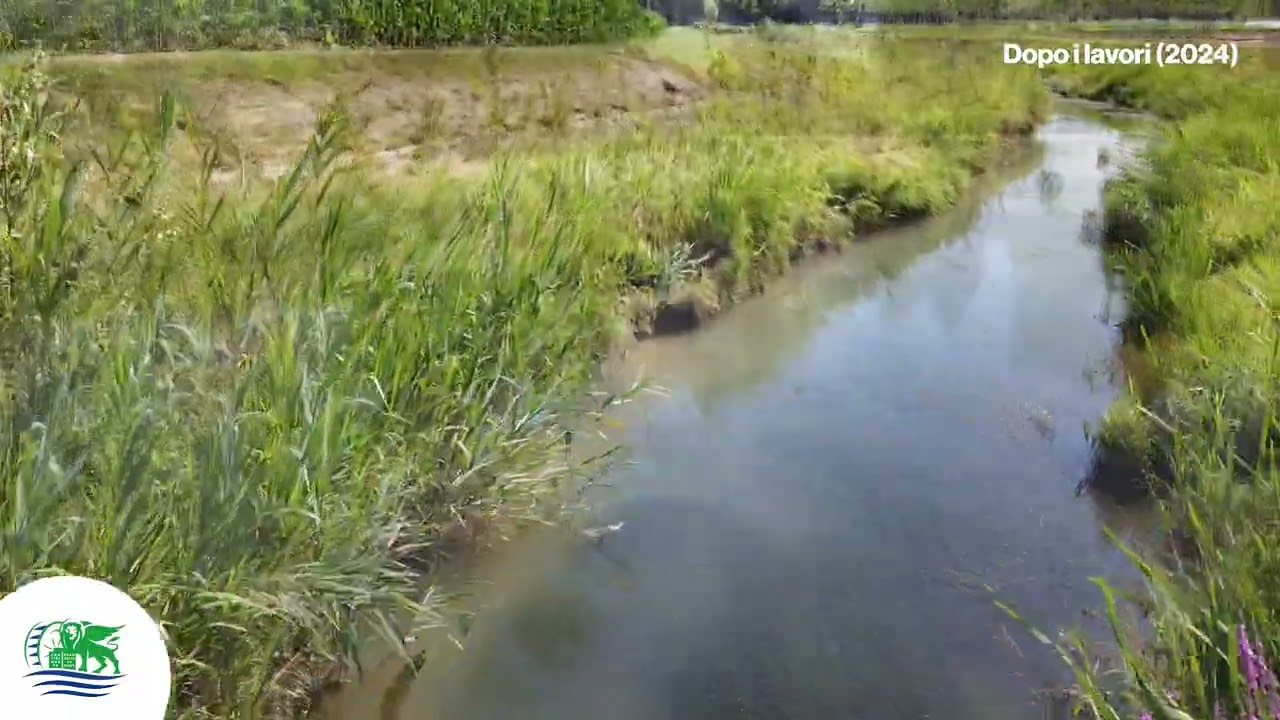 Riqualificazione ambientale scolo Vernise nei Comuni di Zero Branco e Scorzè