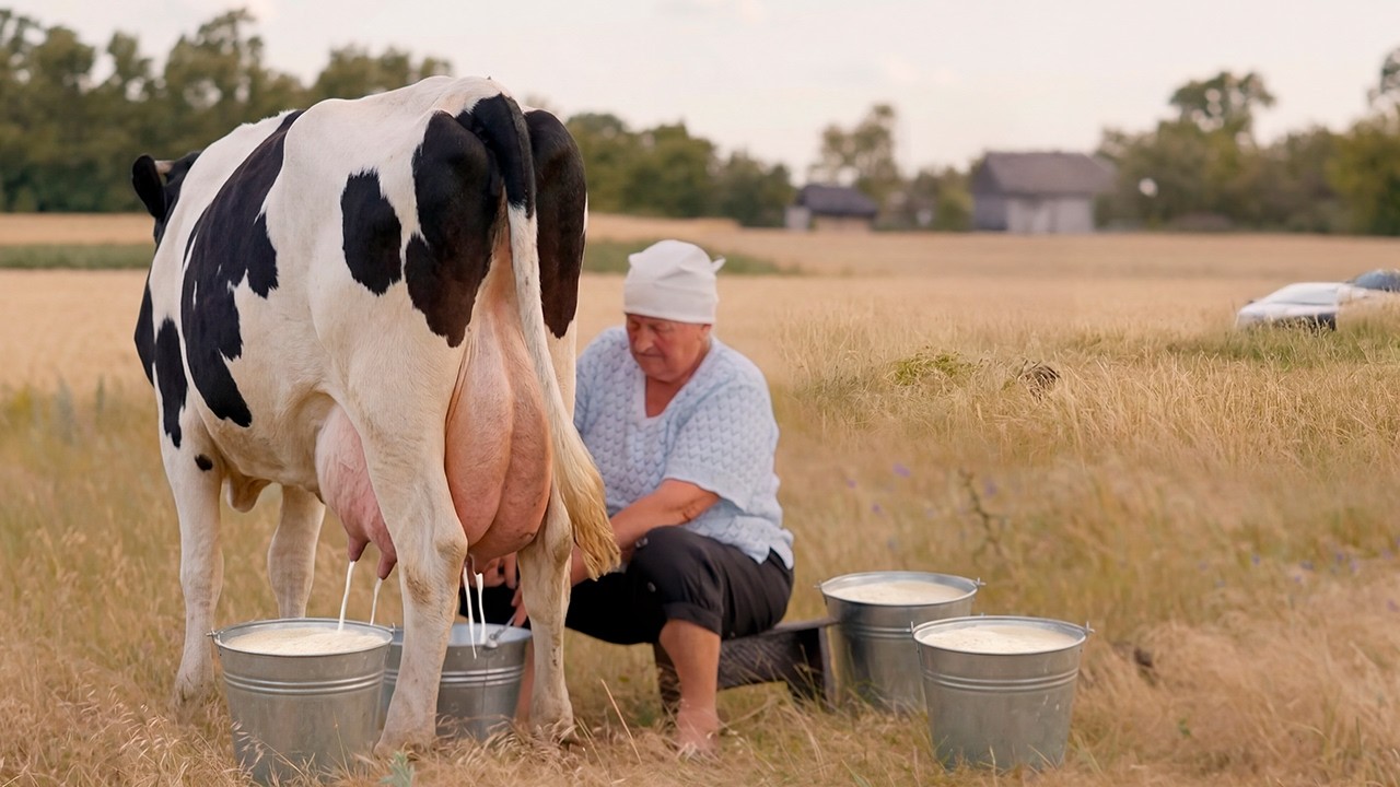 Real village life. Where did grandpa go?