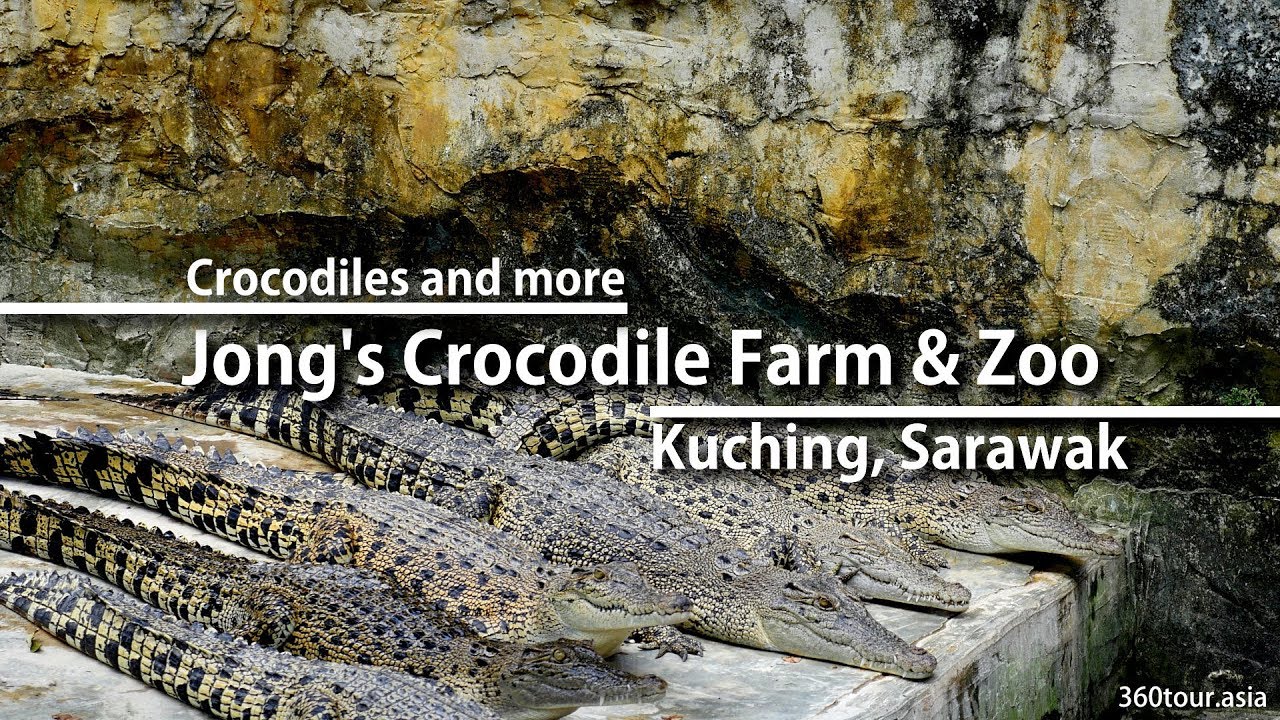 🐊 Jong's Crocodile Farm & Zoo at Kuching, Sarawak