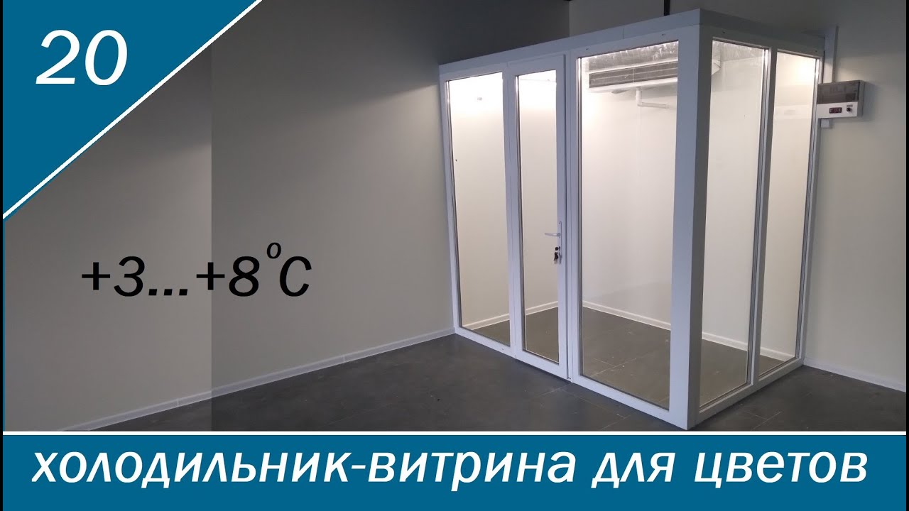 Холодильник для цветов. Холодильник для цветов на 8 куб. м.