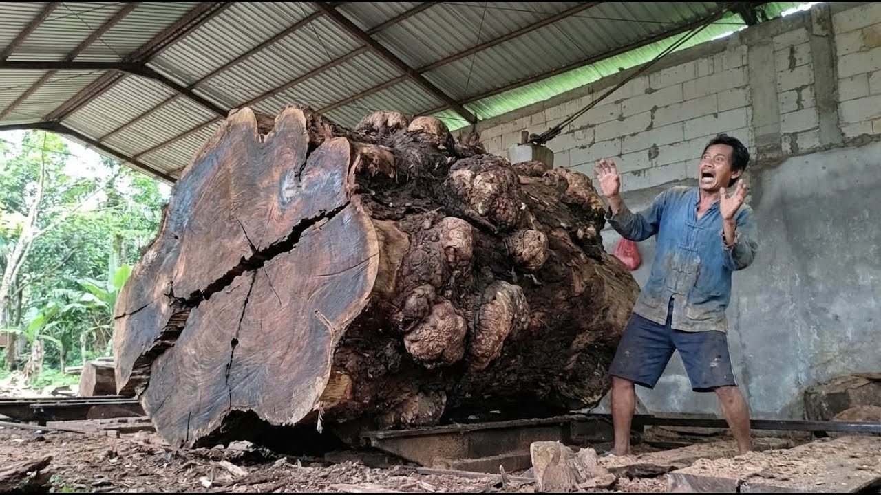 🌳SULTAN GOES CRAZY‼️Watch $52,000 worth of wood get destroyed on a large sawmill table🌳