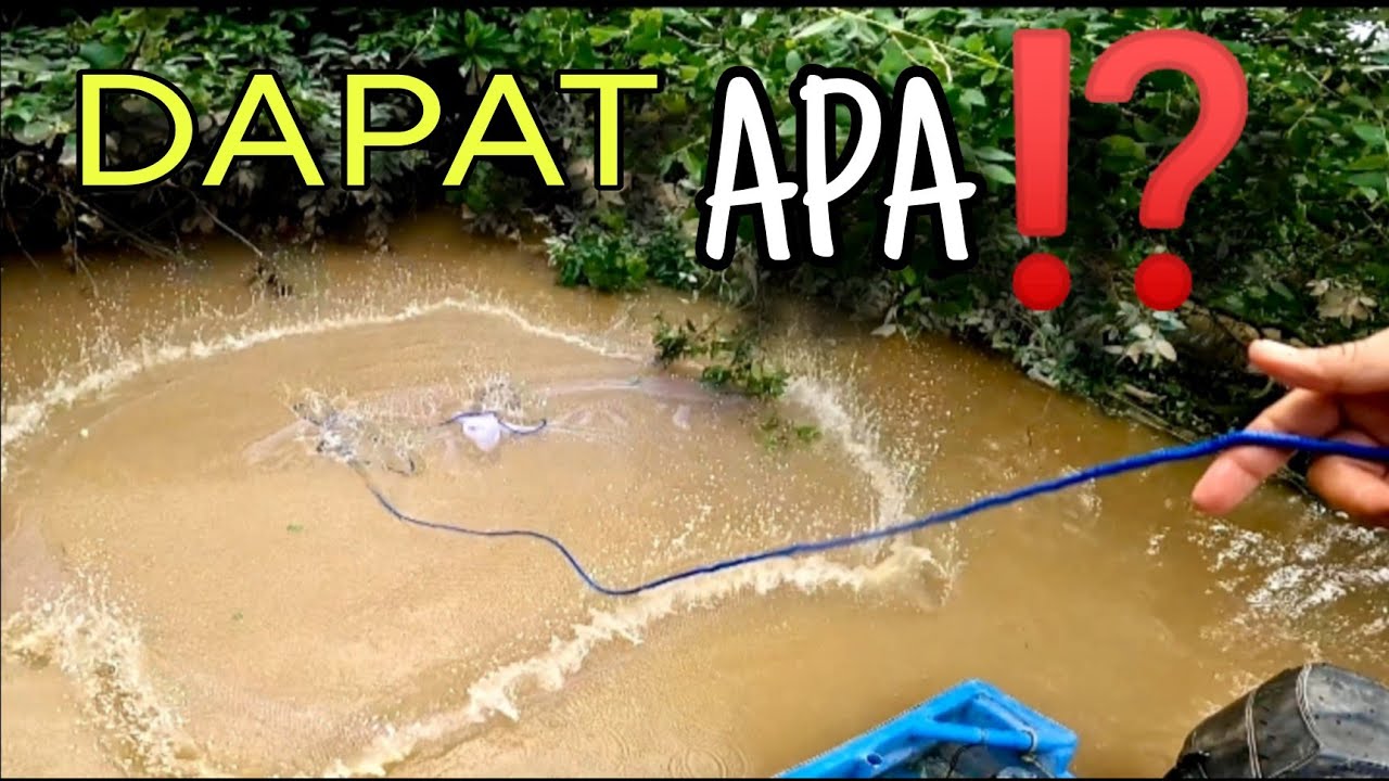 Dapat apa menjala tu bang⁉️