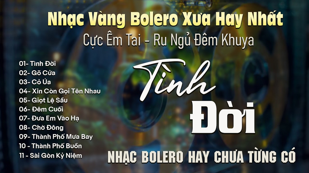 TÌNH ĐỜI ✨ BOLERO DIỄN QUÂN Giọng Ca Đặc Biệt Hay 2026 ➤ Nhạc Vàng Xưa Bất Hủ Dễ Ngủ Cực Êm Tai