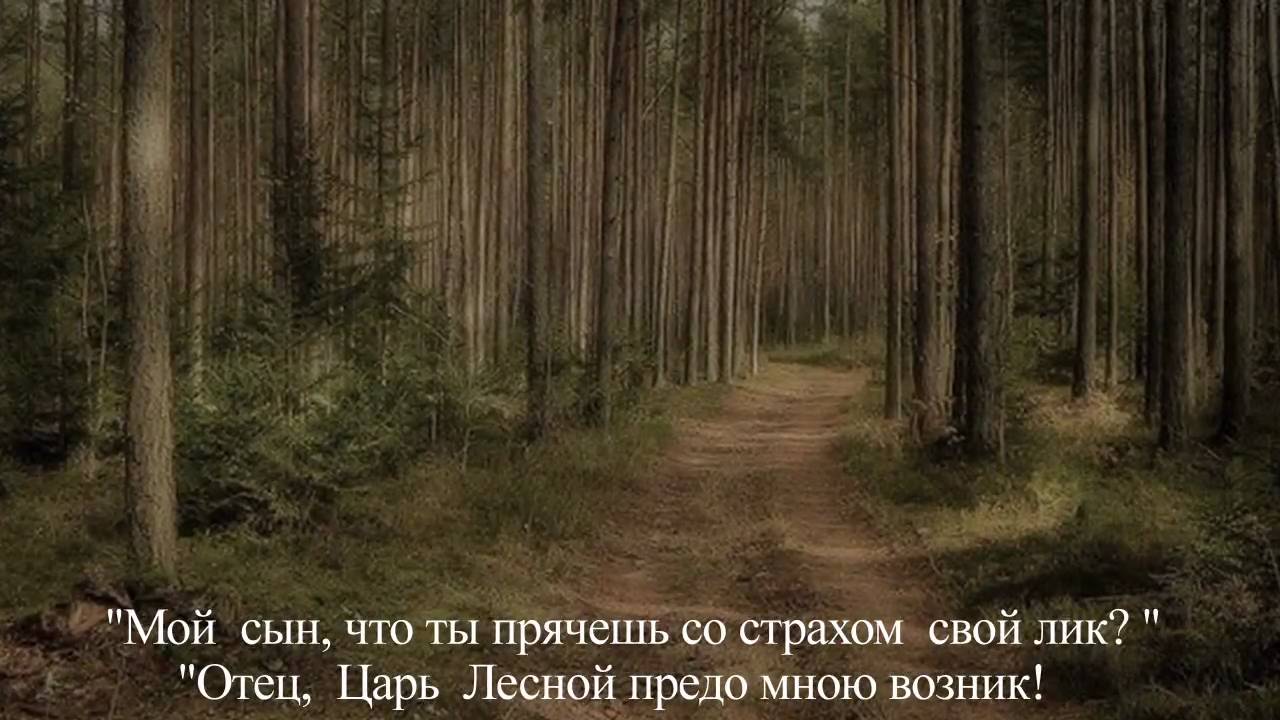 Денис Королёв  Erlkönig - F.Schubert  Лесной царь
