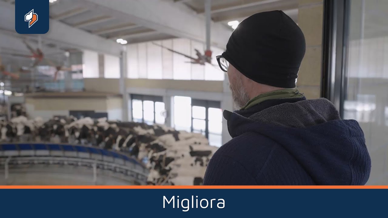 Dati chiari, decisioni migliori: perché il controllo fa la differenza in stalla