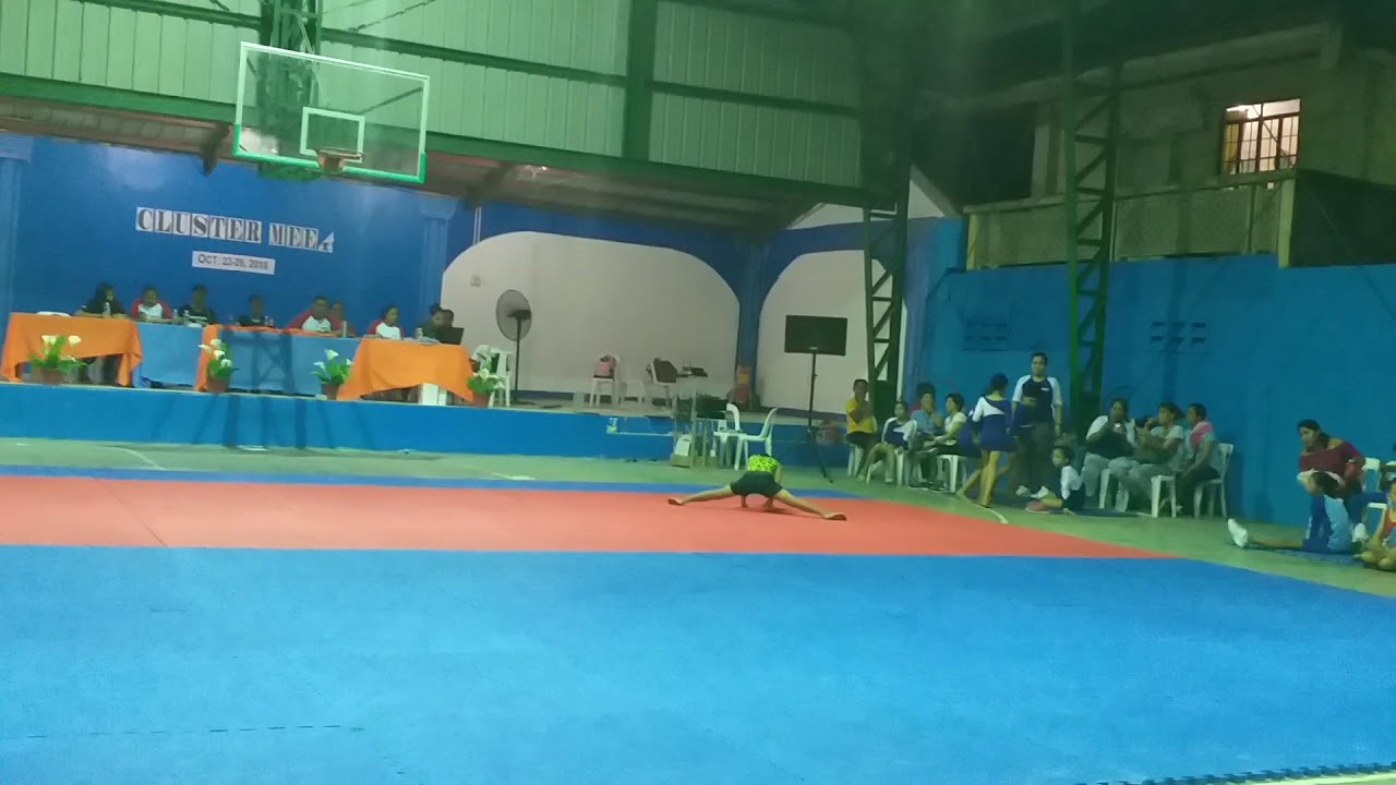 Cluster meet mens artistic gymnastic cluster 1