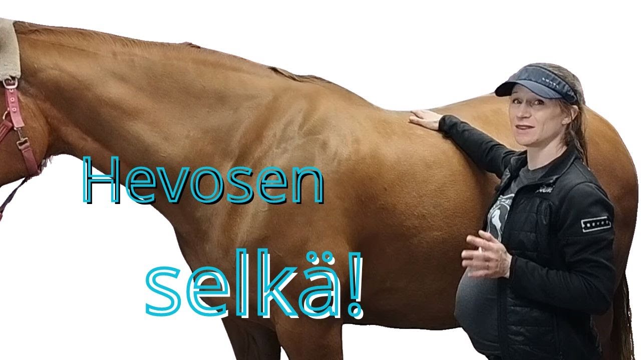 Hevosen selkä: Miten ehkäistä ongelmia ja kiputiloja?