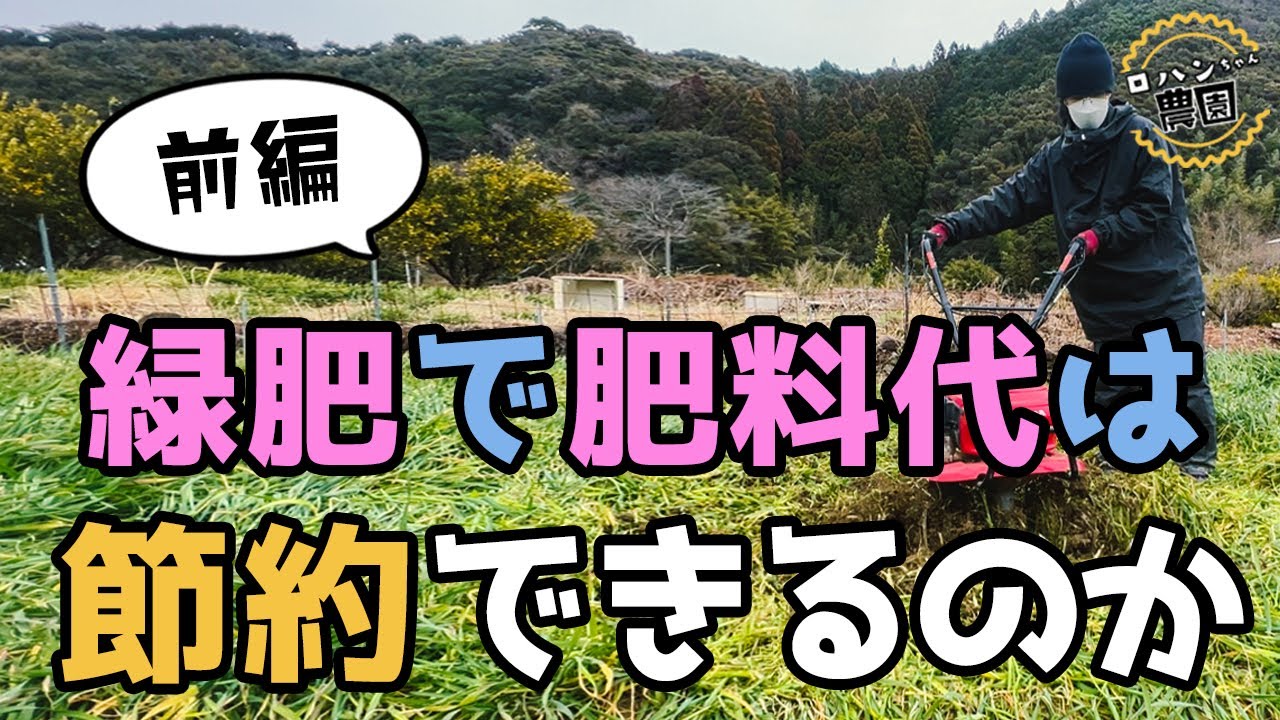 【緑肥植物は肥料になるのか 前編】緑肥植物をすき込んで肥料にする！家庭菜園でも簡単にできる　おすすめの緑肥も紹介