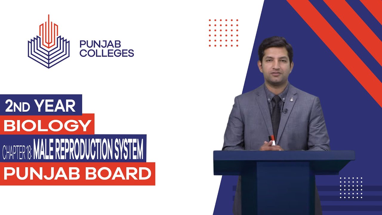 PGC Lectures-Inter Part II - Punjab Board - Biology - Chapter 18 - Male Reproductive System