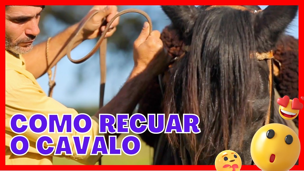 Como ensino meu CAVALO a RECUAR?