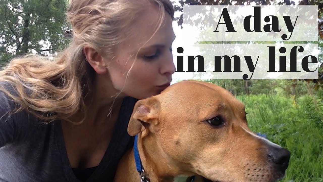 A Day in the Life of a DOG WALKER