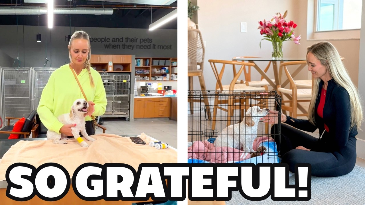 Update After a Scary Night at the ER! ❤️‍🩹 From Emergency Vet to THIS… We’re So Grateful!