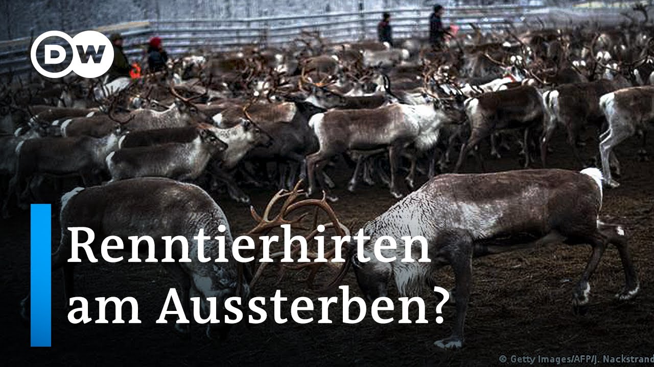 Schweden: Gegenwind im Rentierland | Fokus Europa