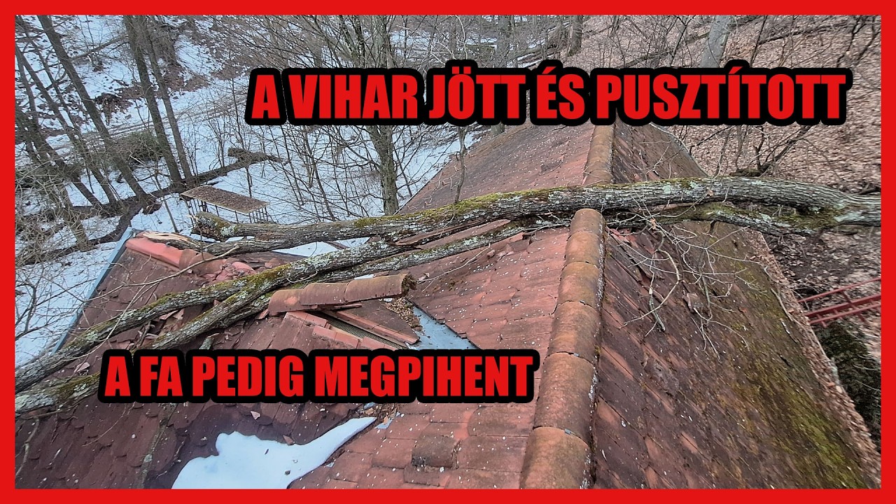 Javítási munkálatok az erdő ölelésében
