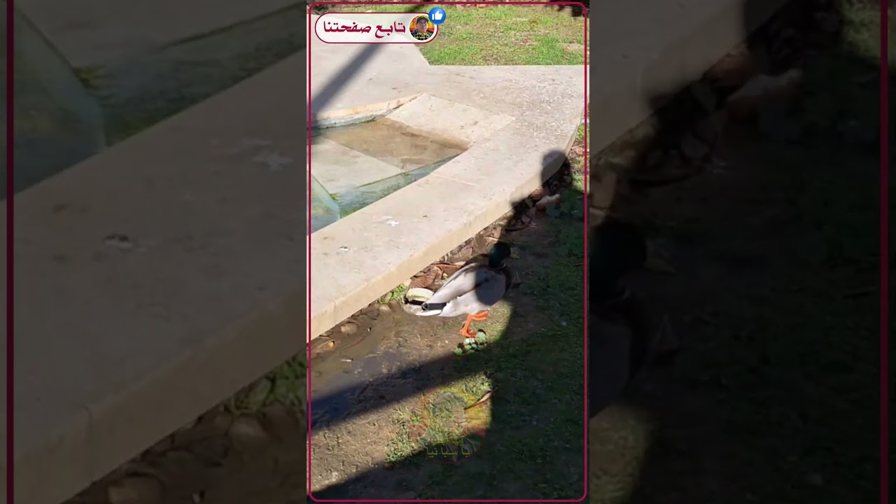 جولة رائعة وجميلة بشوارع والمدينة  calahorra تابع القناة مهاجر بإسبانيا باش يوصلك كل جديد #الهجرة #ا
