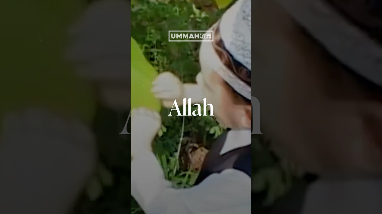 &ldquo;When the servant commits a sin&hellip;&rdquo; #islam #quran #muslim #hadith #islamic