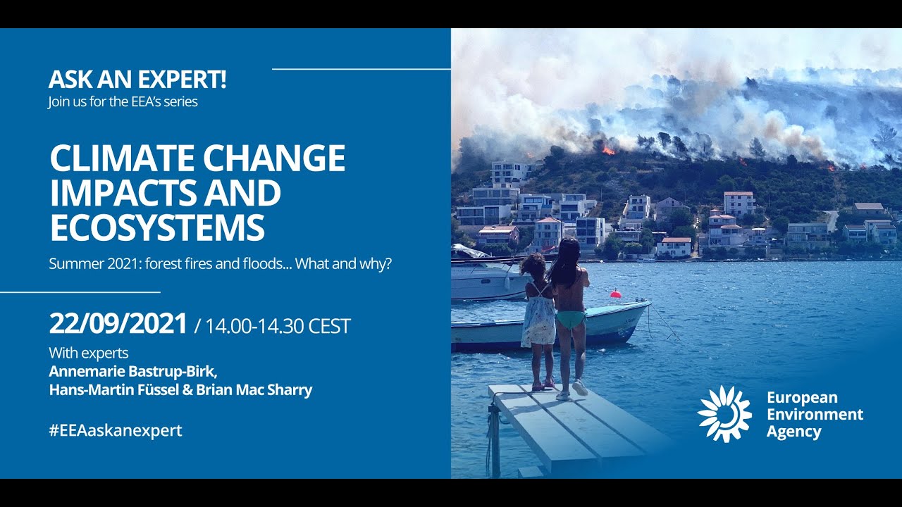 EEA Ask an expert: Climate change impacts and ecosystems - Forest fires and floods in summer 2021