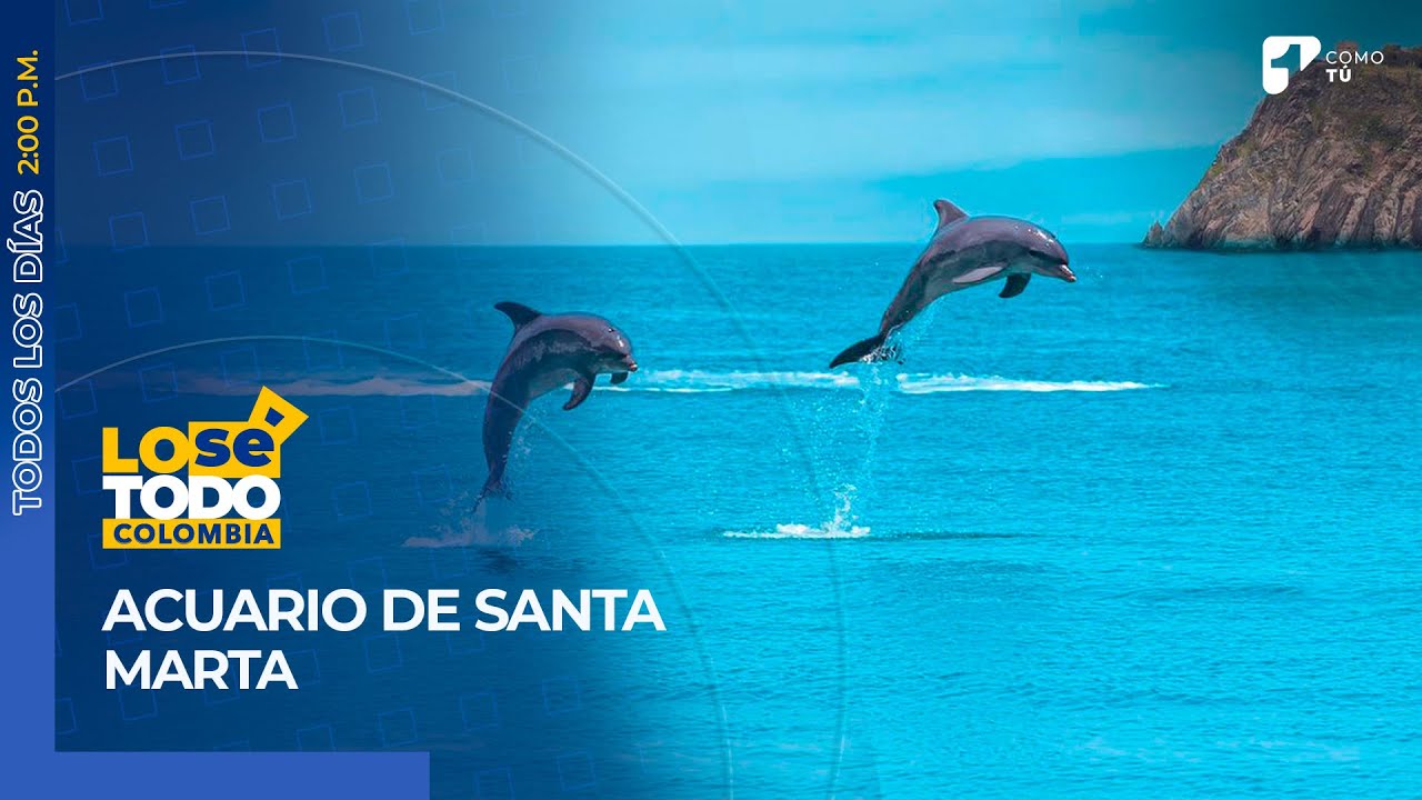 Acuario de Santa Marta ¿Dónde queda y qué se puede disfrutar allí? | Canal 1