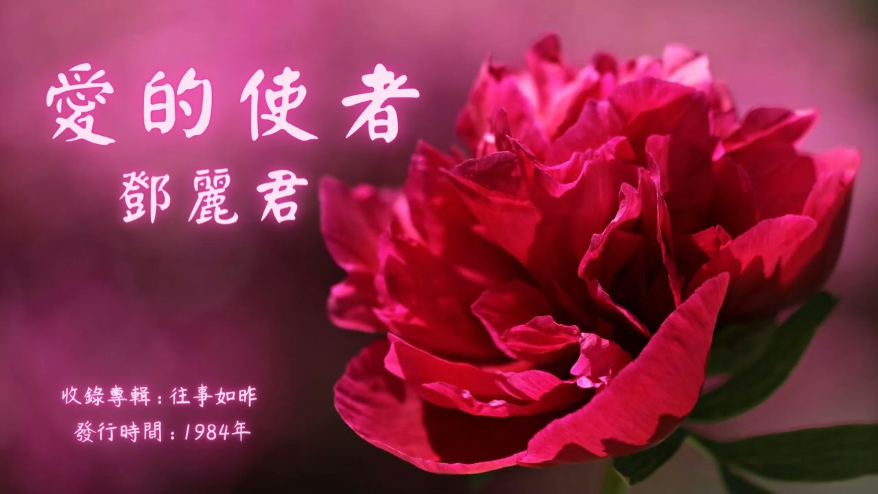 【華語好歌曲】鄧麗君《愛的使者》1980年代經典歌曲