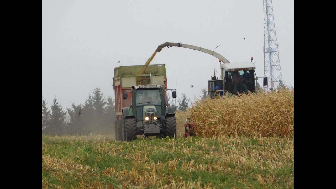Usługi dla Rolnictwa Michał Czajkowski -cięcie kukurydzy 2015 2xFendt Claas