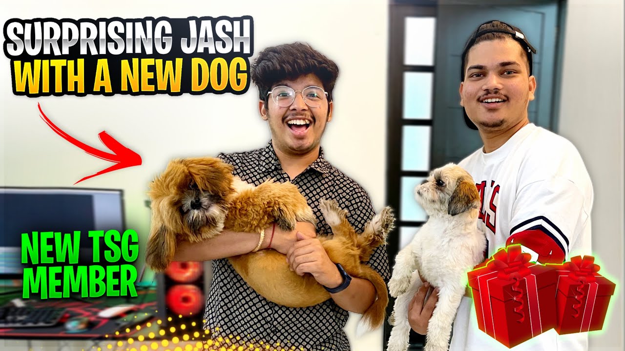 SURPRISING JASH WITH A NEW DOG 🥺| New Member in the House | Crying Reaction - Two side Gamers