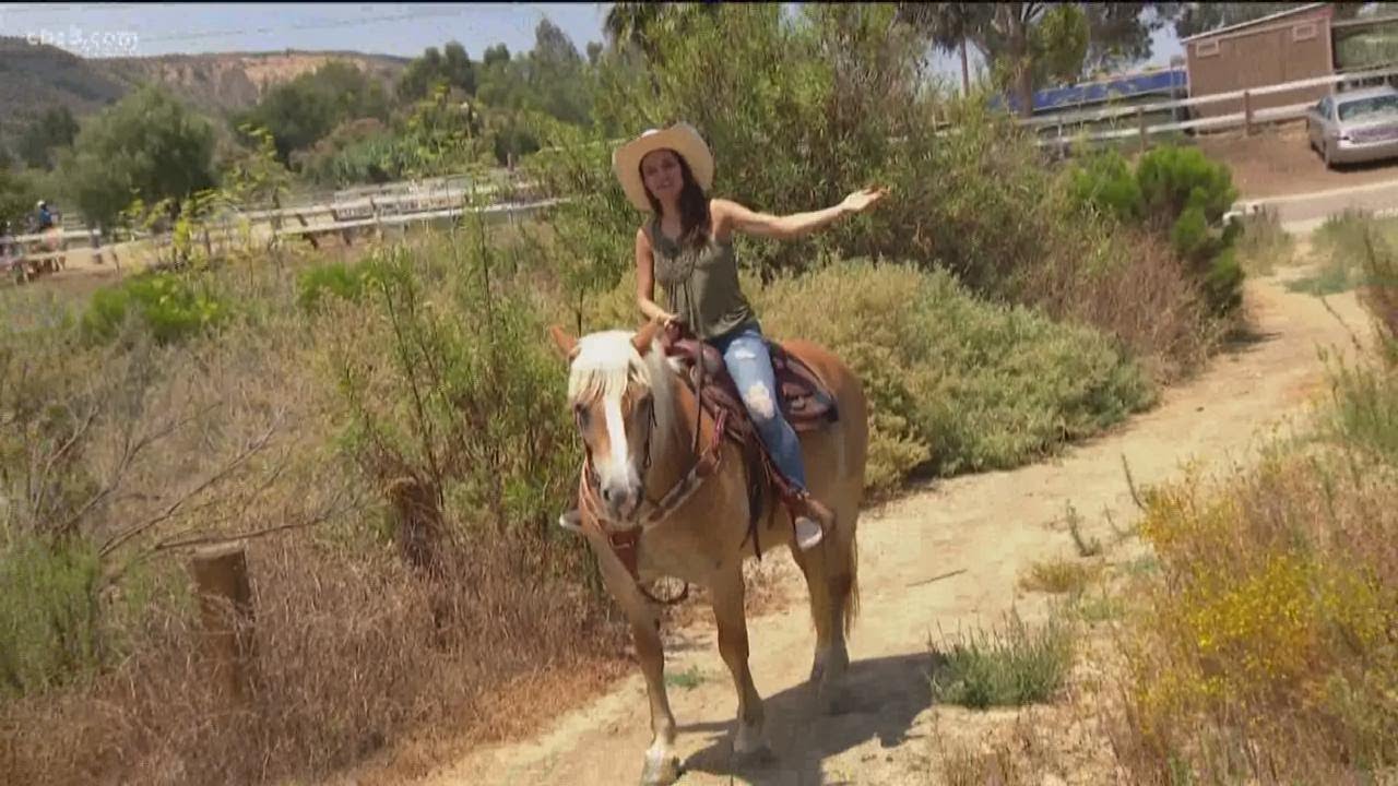 Out & About: Horseback riding at Pony Land