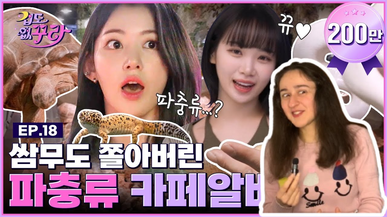 REACTION | Sakura X Chae Won 🐢From tortoises to snakes🐍 Reptile cafe challenge