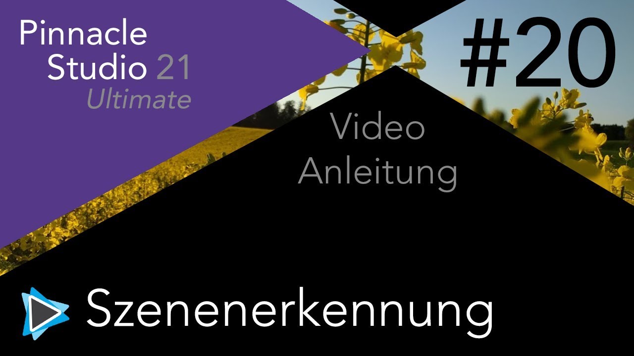 Szenenerkennung in Pinnacle Studio 21 Video Tutorial Deutsch #20
