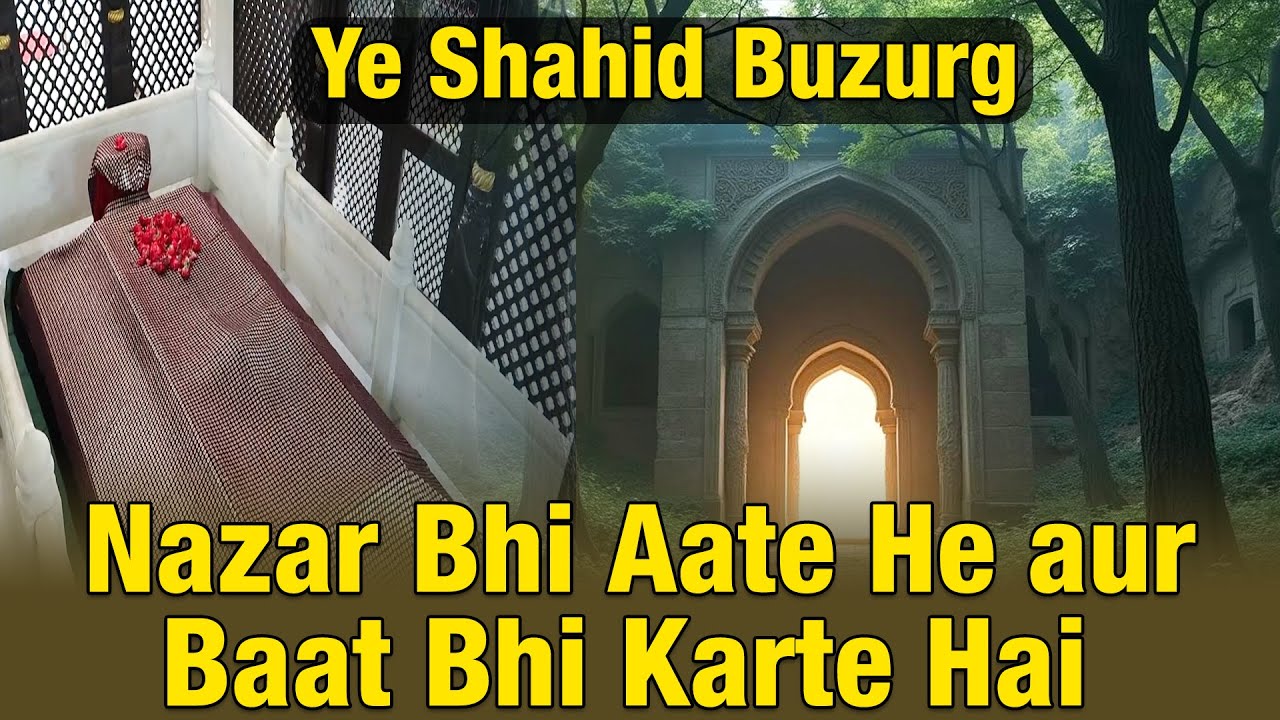 Ye Shahid Buzurg Nazar Bhi Aate He Aur Baat Bhi Karte Hai | Khambhat Dargah Vlog