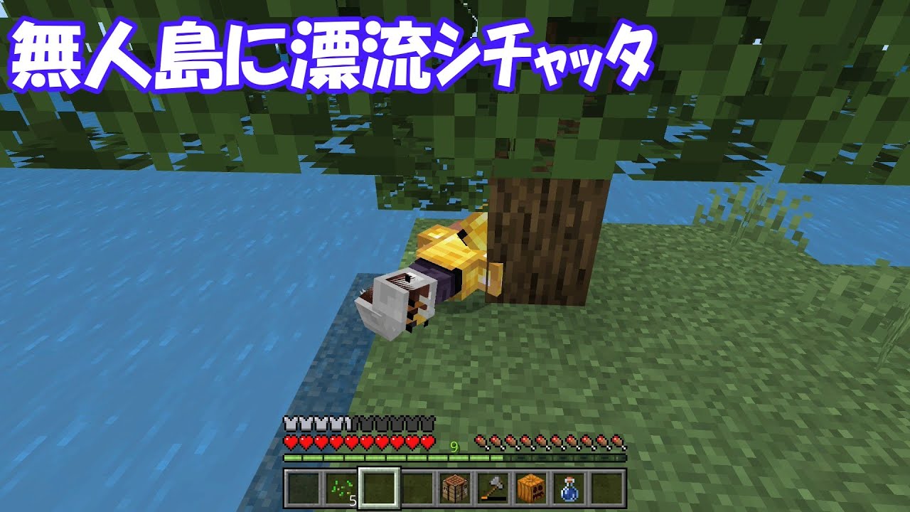 無人島に漂流ｼﾁｬｯﾀ