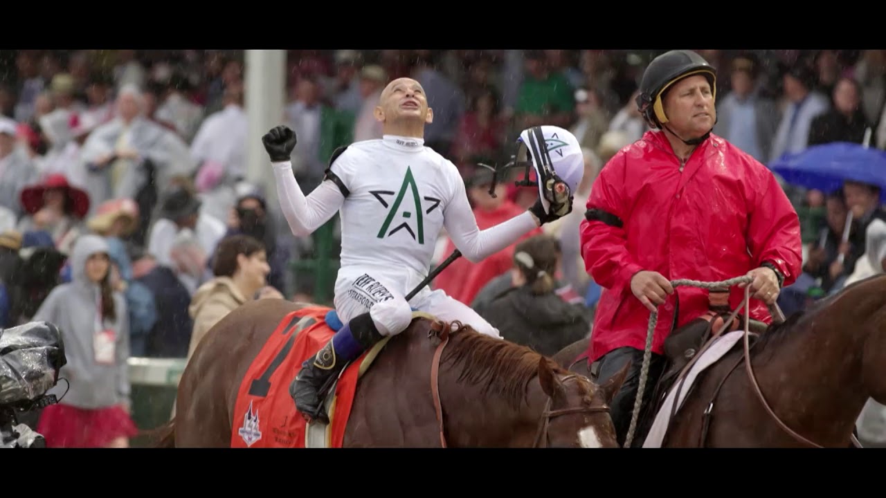 Justify - New for 2019 at Coolmore Australia