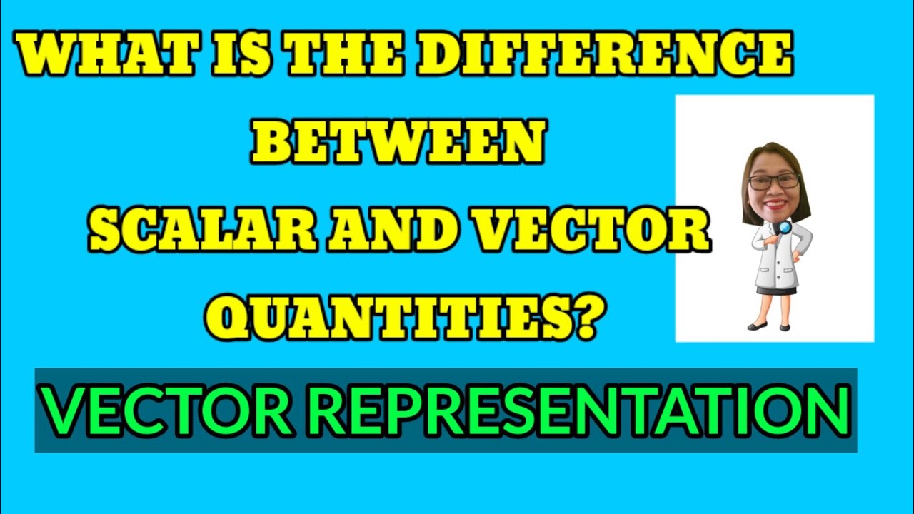 WHAT IS THE DIFFERENCE BETWEEN SCALAR AND VECTOR QUANTITIES?