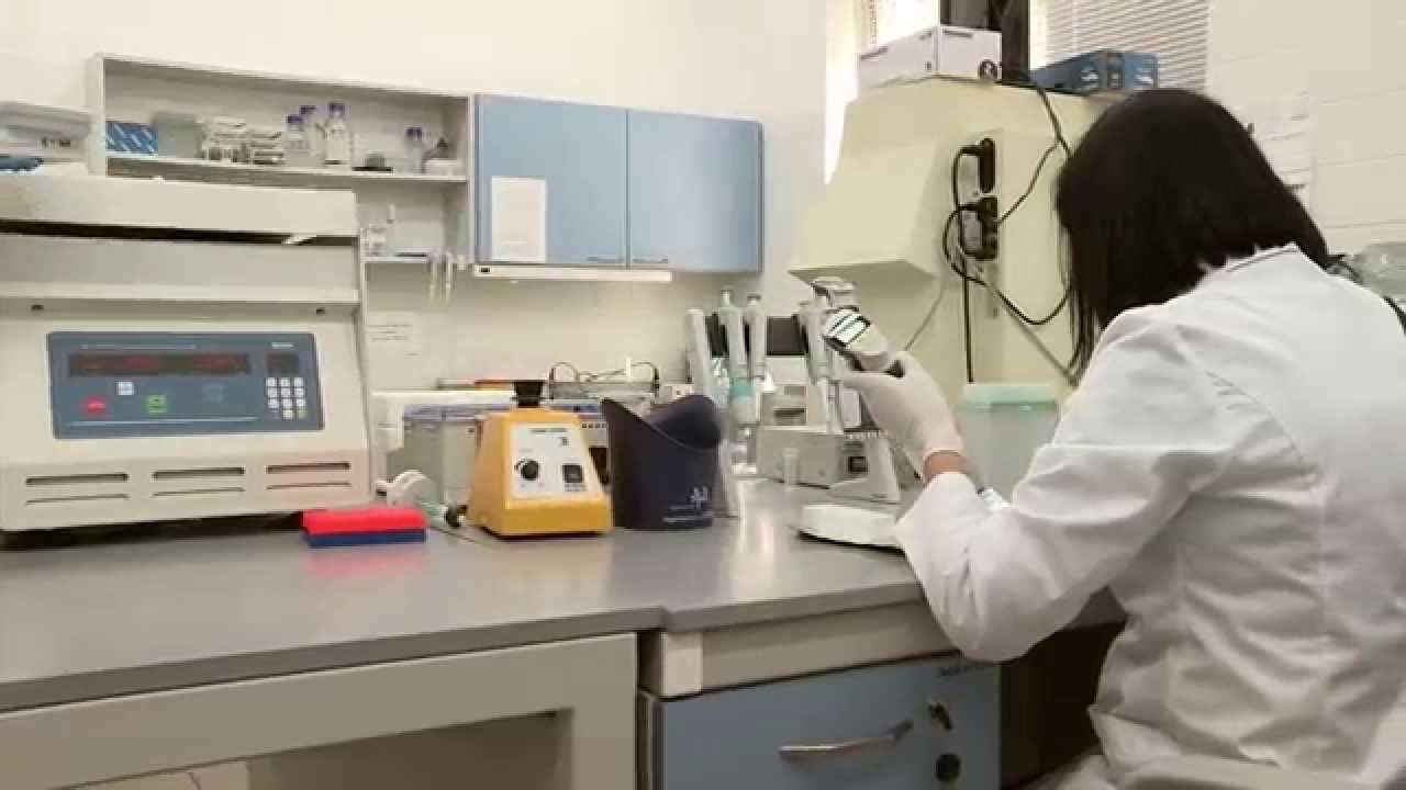 HAJNÓWKA Brama do Puszczy Białowieskiej