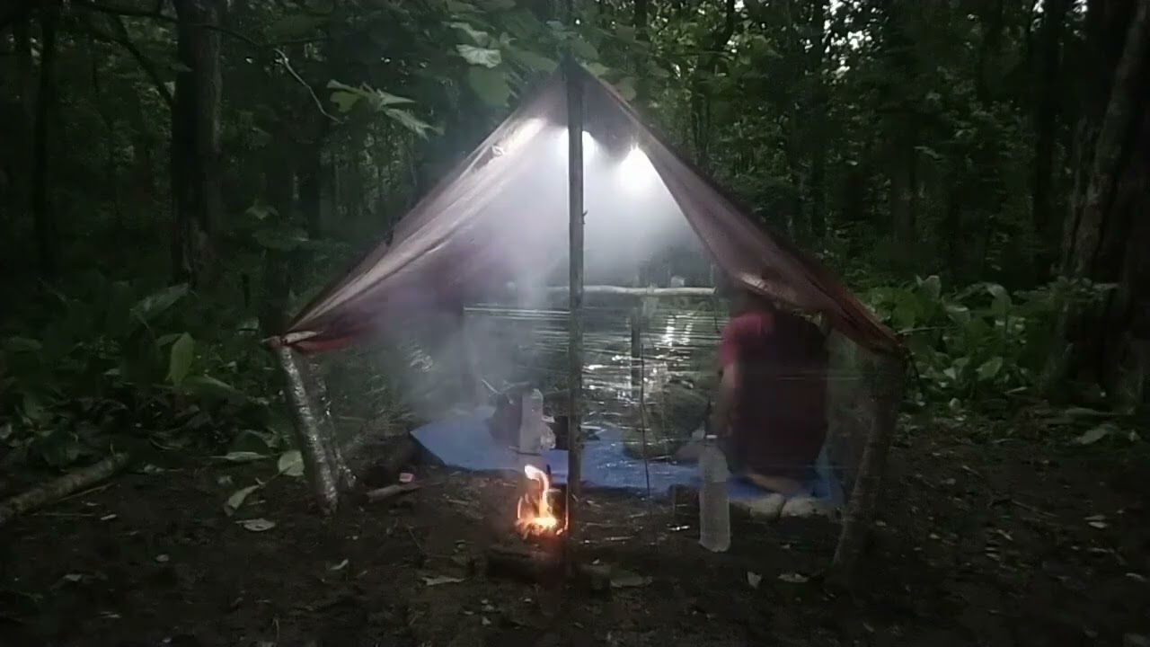 Membangun sheltersederhana menikmati suasana alam malam hari hutan belantara tidur nyenyak semalaman