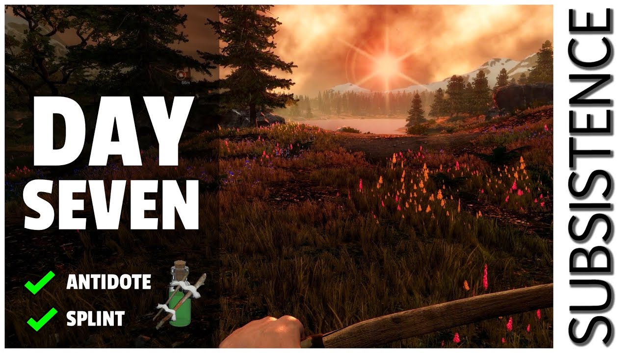 Crafting an antidote and splint in Subsistence