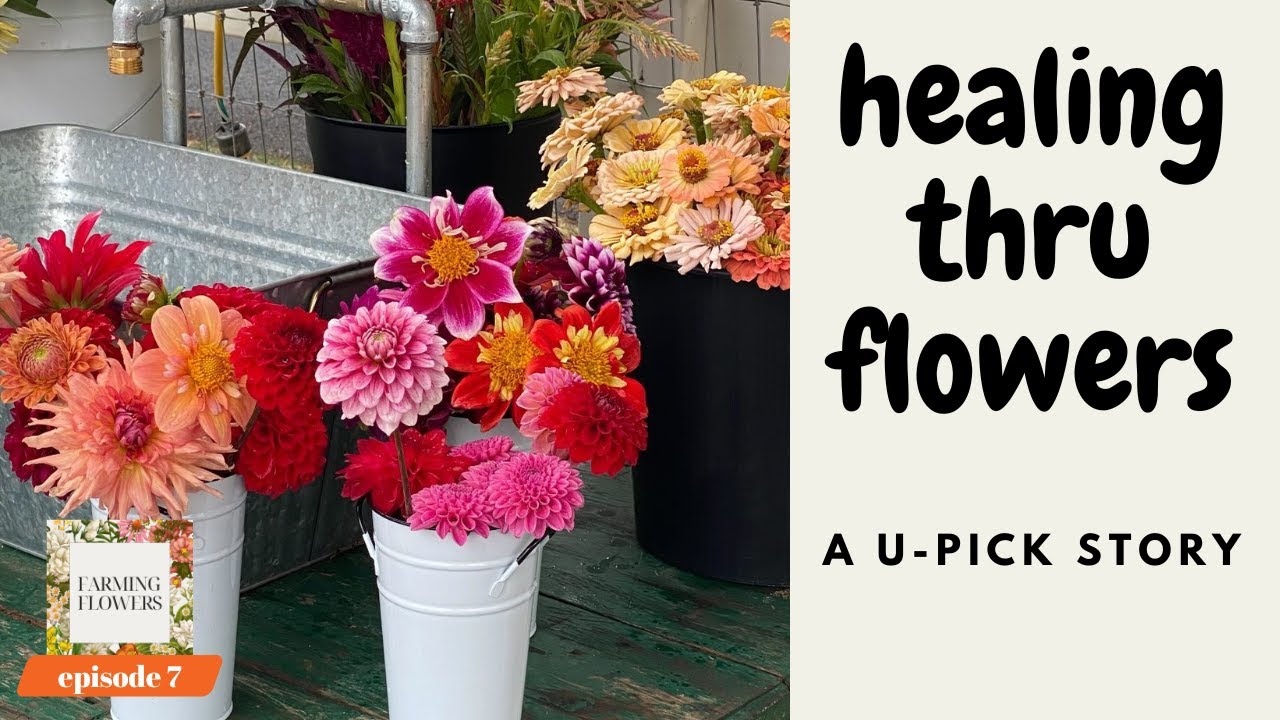 S1 Ep7 Healing thru Flowers | Farming Flowers Podcast