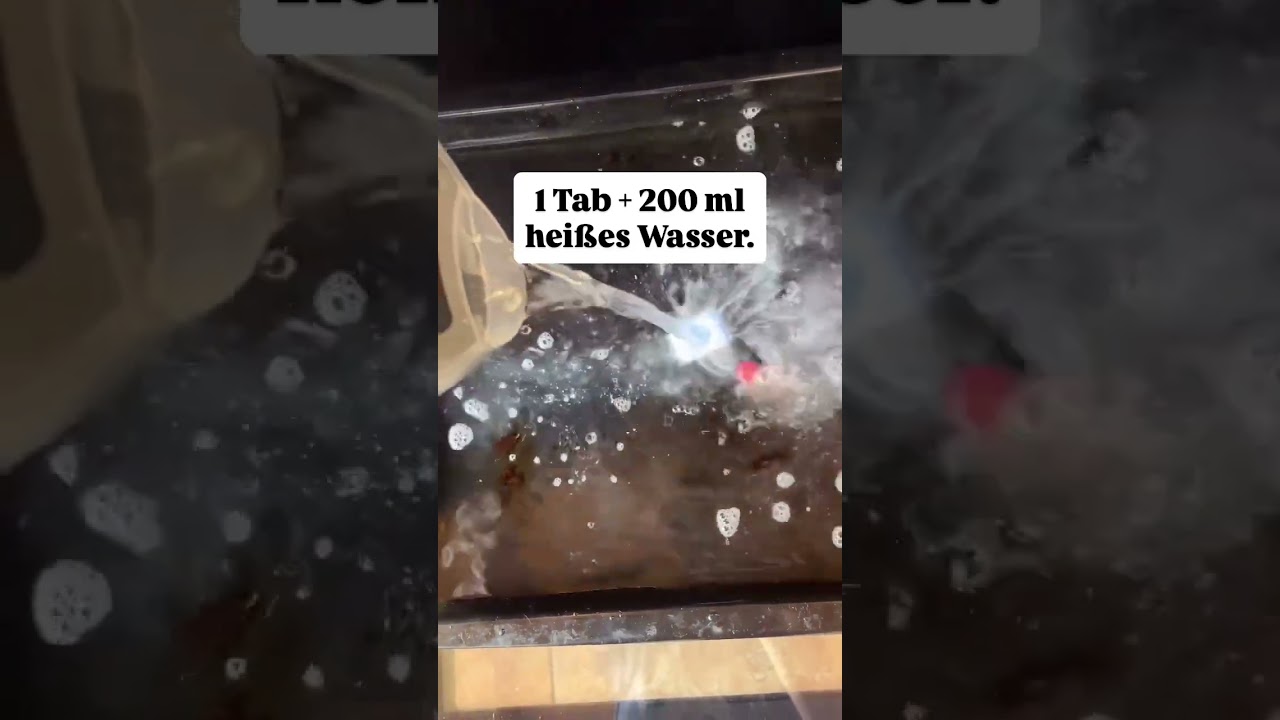 Backofen reingen #cleantok #haushaltstipps #putztipps